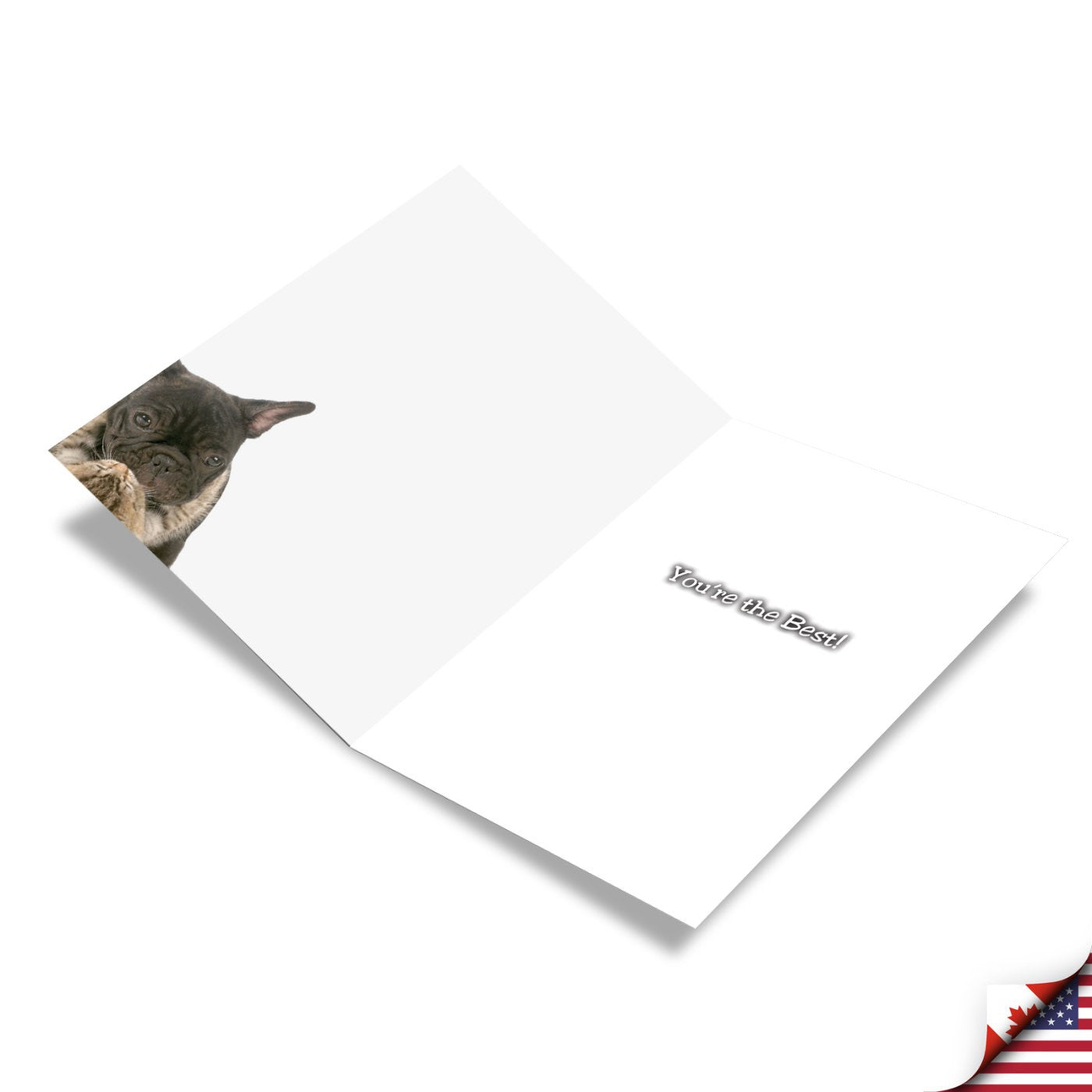 Thank You From Your Girlfriend!- Greeting Card